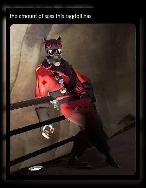Sassy Ragdoll Energy
