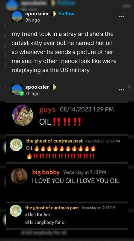 Oil Named Cat Military Reaction