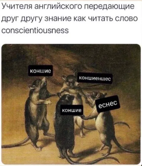 Как читать conscientiousness