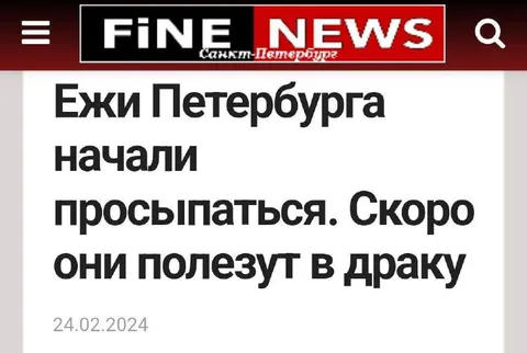Ежи Петербурга полезут в драку