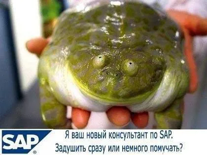 Новый консультант по SAP