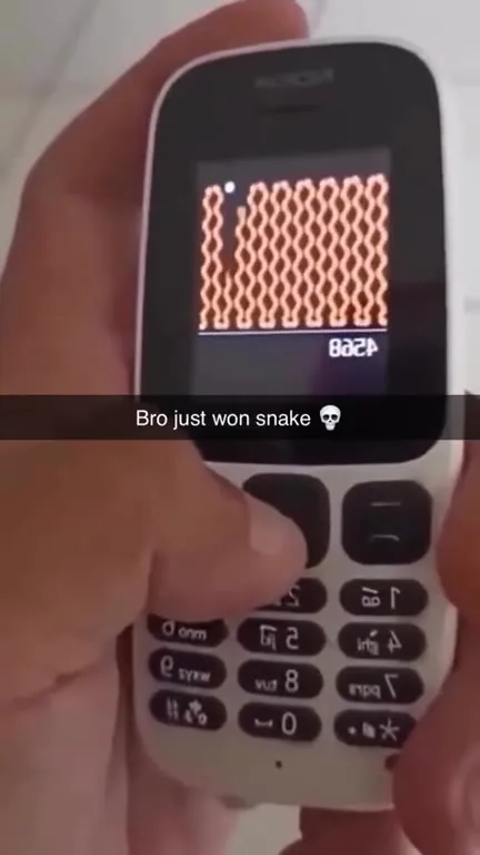 Bro Just Won Snake