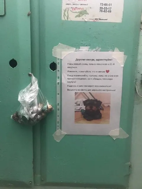 Новый сосед просит конфетку