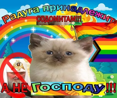 Радуга принадлежит содомитам