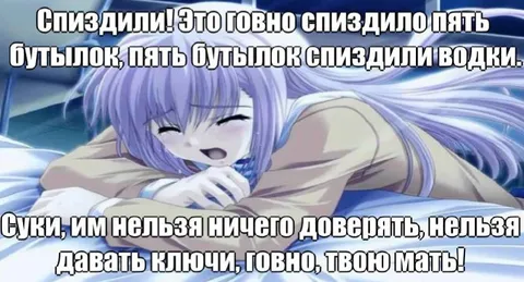 Пять бутылок спиздили водки
