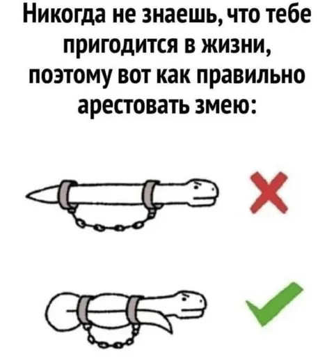 Как правильно арестовать змею