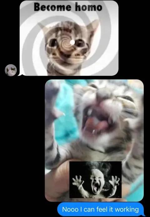 Become Homo Kitten Hypnosis