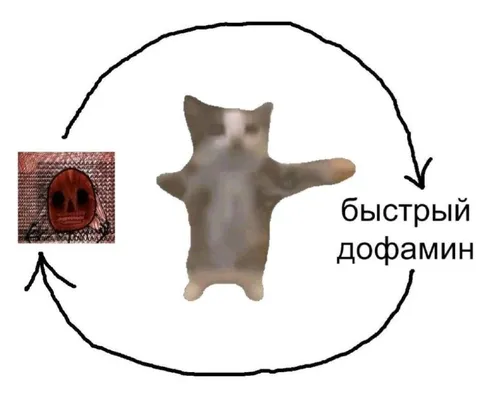 Цикл быстрого дофамина