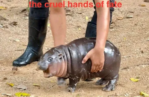 The Cruel Hands of Fate