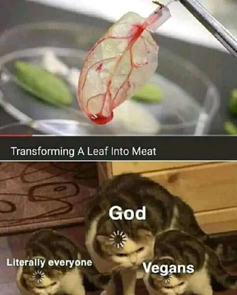 Transforming a Leaf Into Meat