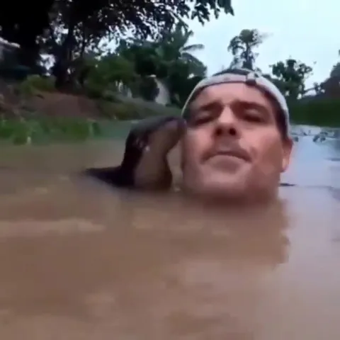Мужчина и утка в мутной воде