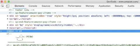 Hidden Cat in HTML Comments