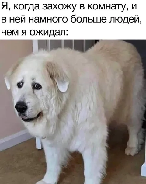 Когда людей больше ожидаемого