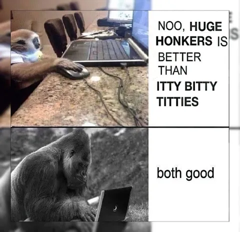 Both Good Gorilla Meme