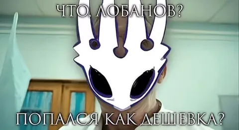 Жуковы снова попались