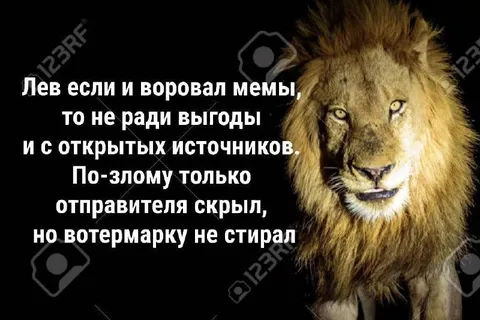 Лев не стирает вотермарку
