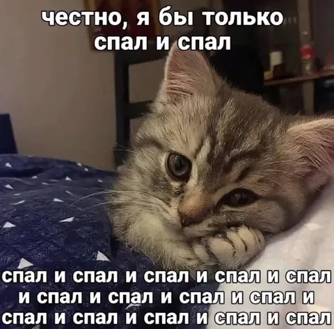 Честно, я бы только спал
