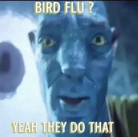 Bird Flu? Yeah They Do That