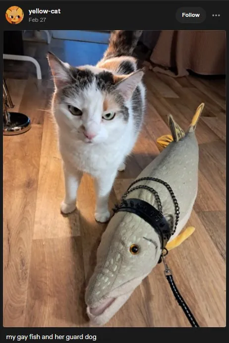My Gay Fish and Guard Dog