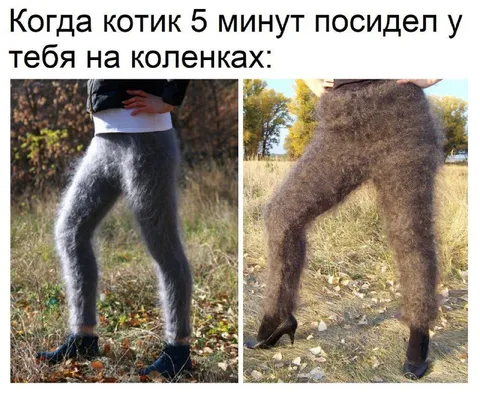 Котик посидел на коленках