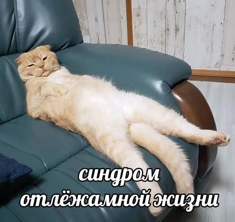 Синдром отлёжанной жизни