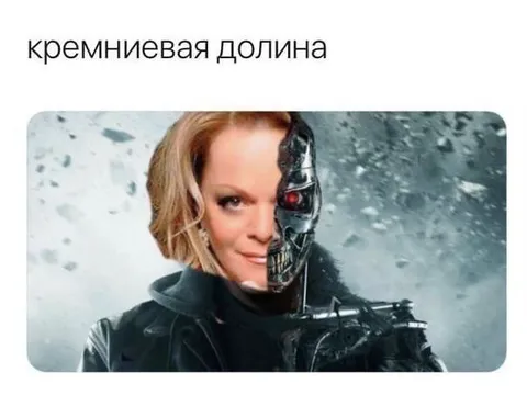Кремниевая долина-терминатор