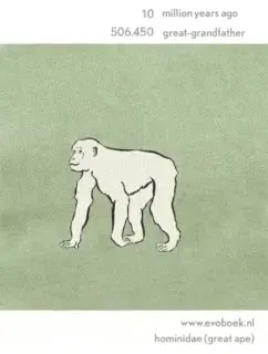Evolutionary Great-Grandfather Timeline