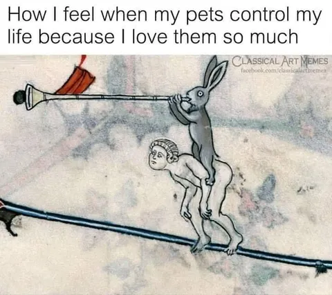 Pets Control My Life