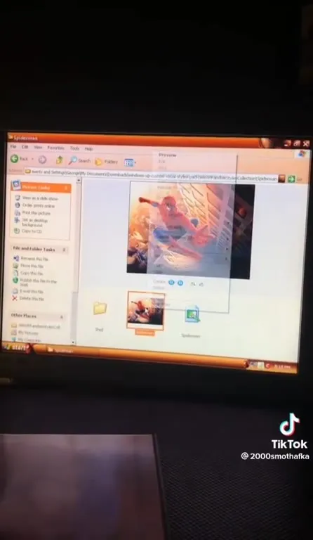 Spider-Man Plays Hero on Windows XP