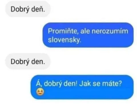 Nerozumím slovensky