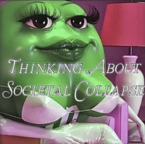 Thinking About Social Collapse