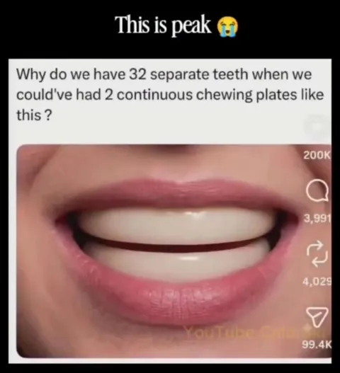Peak Continuous Chewing Plates