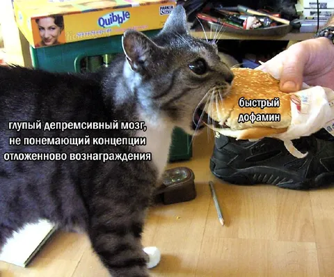 Глупый мозг и быстрый дофамин