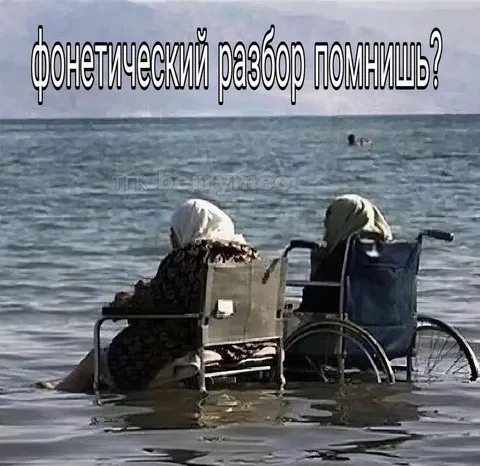 Фонетический разбор помнишь?