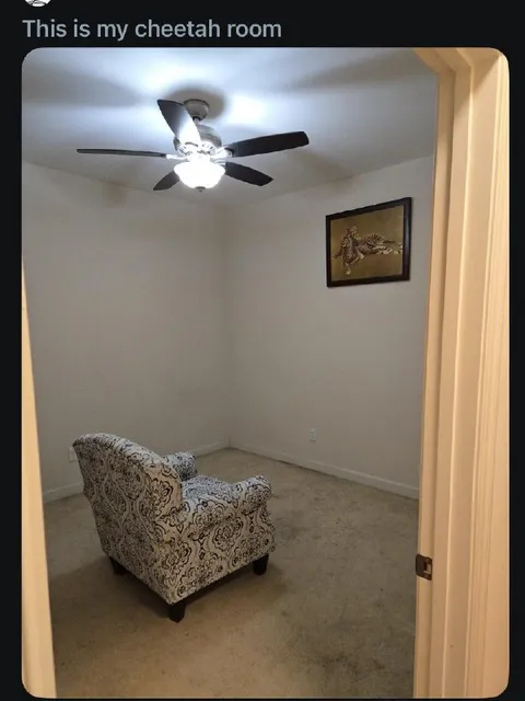 This Is My Cheetah Room