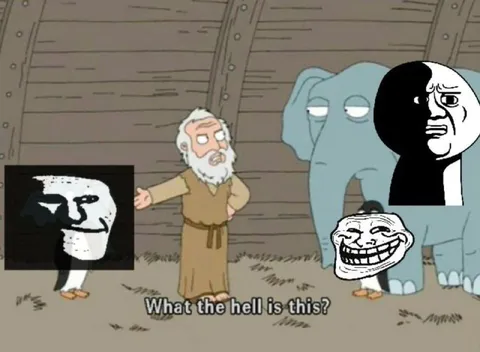 What the Hell Is This?