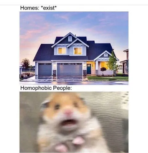 Homophobic People See Homes