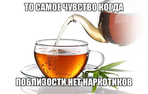 Когда рядом нет наркотиков