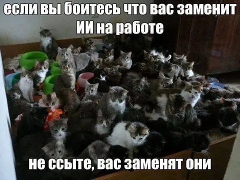 Коты заменят ИИ на работе