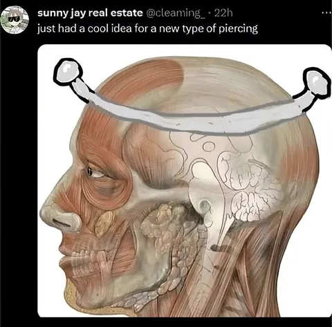 Anatomy Piercing Idea