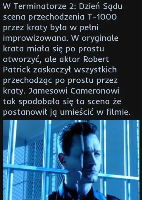 T-1000 przechodzi przez kraty