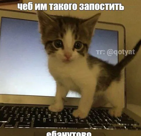 Чеб им такого запостить ебанутого