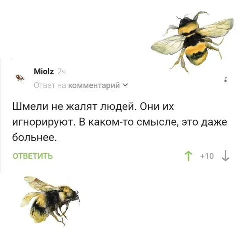 Шмели игнорируют людей