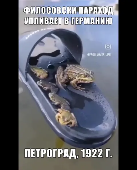 Философский пароход из тапка