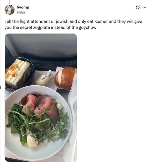 Secret Zogplate Airline Meal