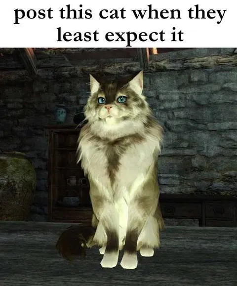 Post This Cat Unexpectedly