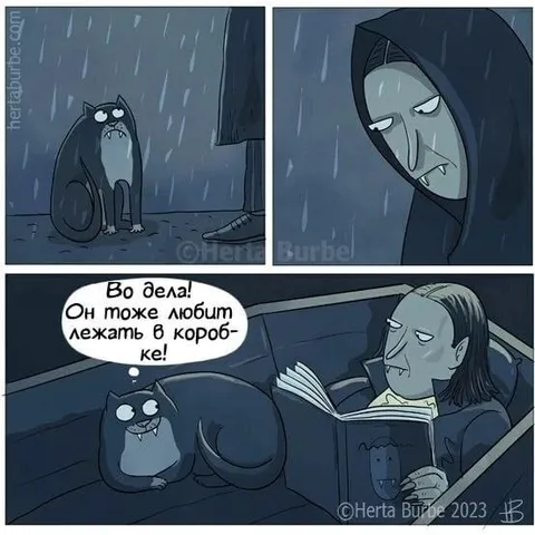Кот тоже любит коробку