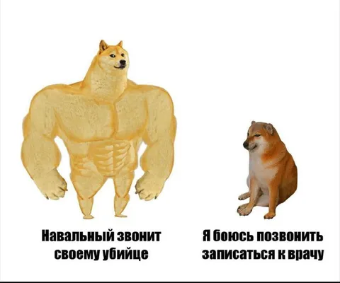 Навальный звонит своему убийце