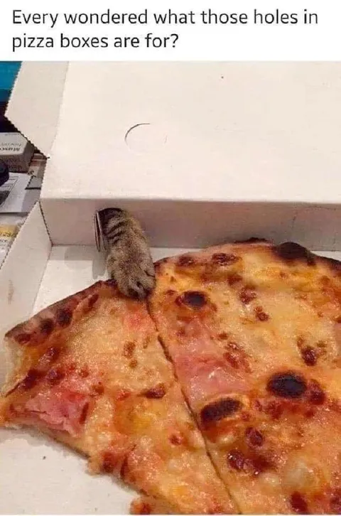 Pizza Box Holes Explained