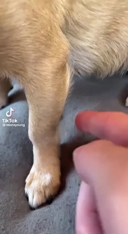 Is This Your Elbow?